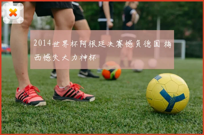 2014世界杯阿根廷决赛憾负德国 梅西憾失大力神杯