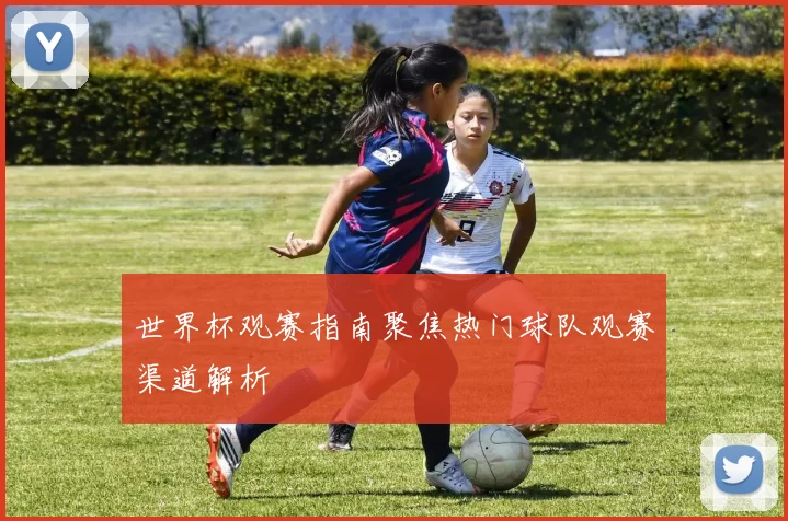 世界杯观赛指南聚焦热门球队观赛渠道解析
