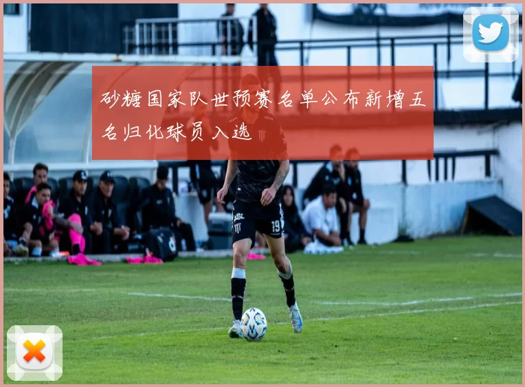 砂糖国家队世预赛名单公布新增五名归化球员入选