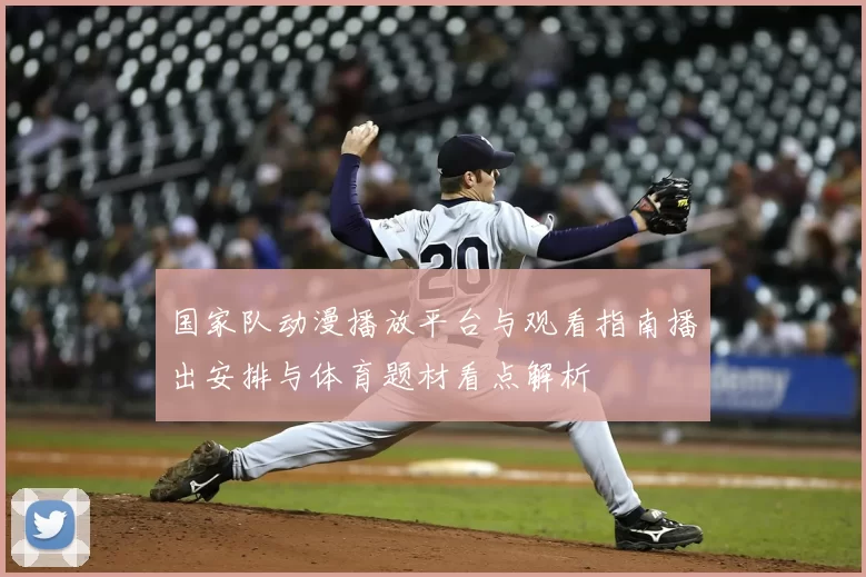国家队动漫播放平台与观看指南播出安排与体育题材看点解析