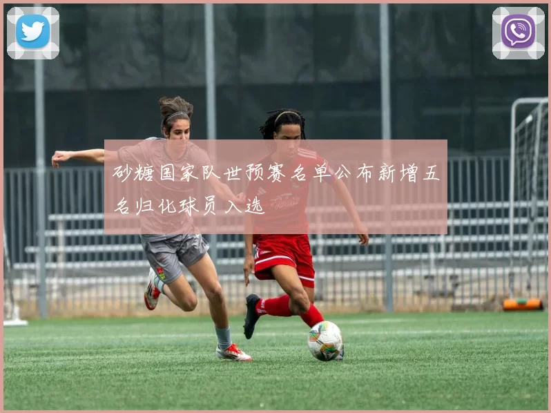 砂糖国家队世预赛名单公布新增五名归化球员入选